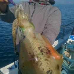 シースナイパー海龍 釣果