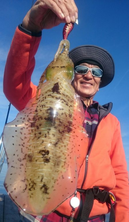 シースナイパー海龍 釣果