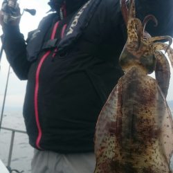 シースナイパー海龍 釣果