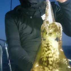 シースナイパー海龍 釣果