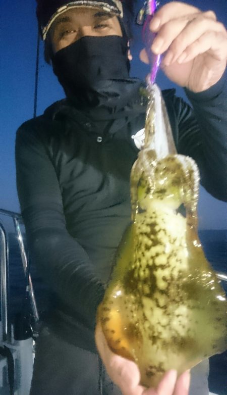 シースナイパー海龍 釣果