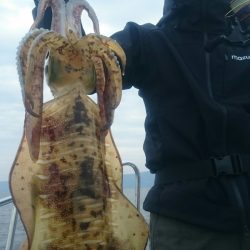 シースナイパー海龍 釣果