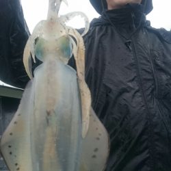 シースナイパー海龍 釣果