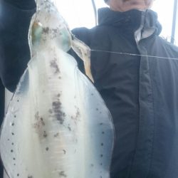 シースナイパー海龍 釣果