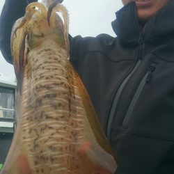 シースナイパー海龍 釣果