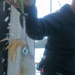 シースナイパー海龍 釣果