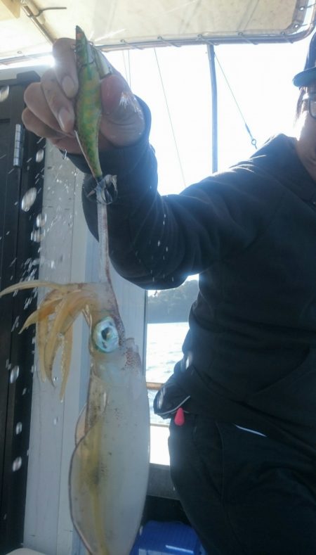 シースナイパー海龍 釣果