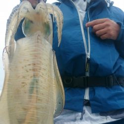 シースナイパー海龍 釣果