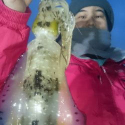 シースナイパー海龍 釣果