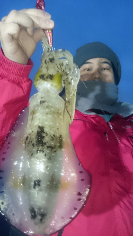 シースナイパー海龍 釣果