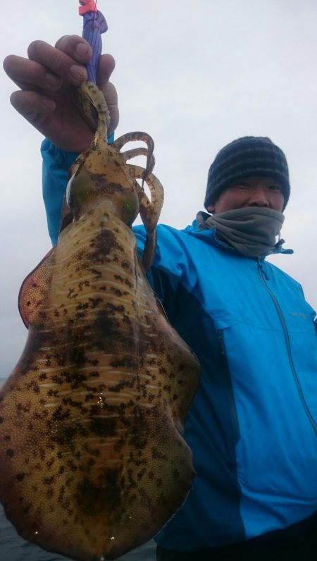 シースナイパー海龍 釣果
