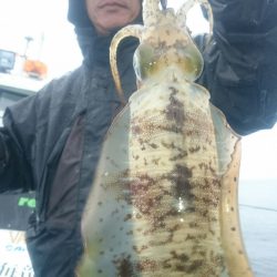 シースナイパー海龍 釣果