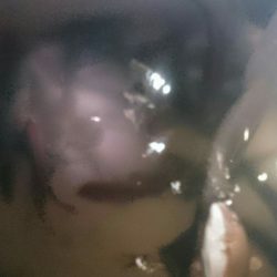 シースナイパー海龍 釣果