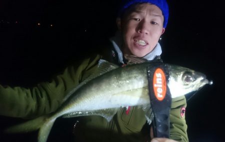 シースナイパー海龍 釣果