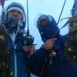 シースナイパー海龍 釣果