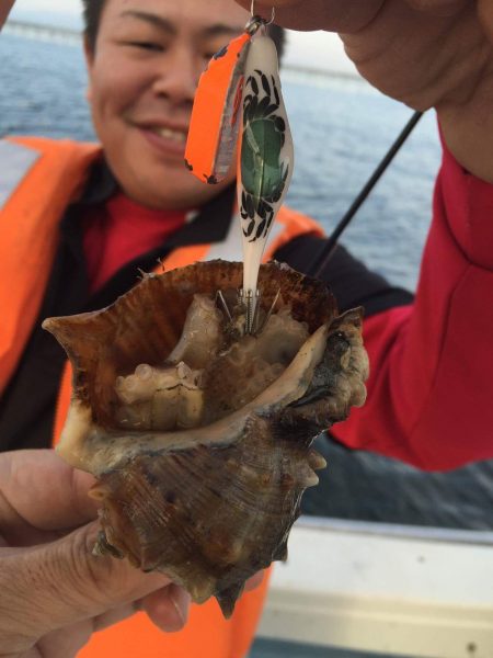 リトルワン 釣果