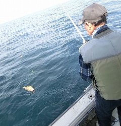 第二清洋丸 釣果