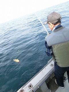 第二清洋丸 釣果