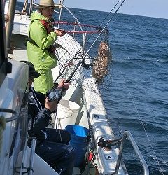 第二清洋丸 釣果