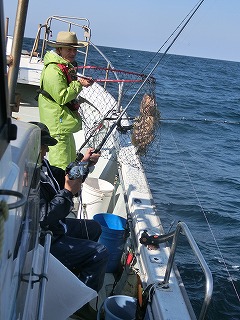 第二清洋丸 釣果