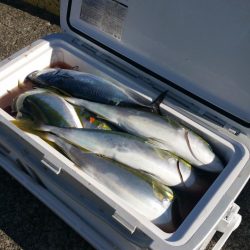 もと明丸 釣果