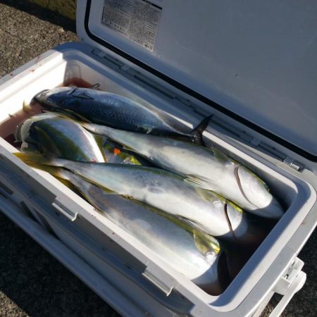 もと明丸 釣果
