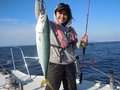 釣船　キティ 釣果