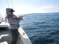 釣船　キティ 釣果