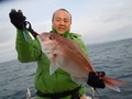 釣船 キティ 釣果