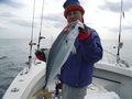釣船 キティ 釣果