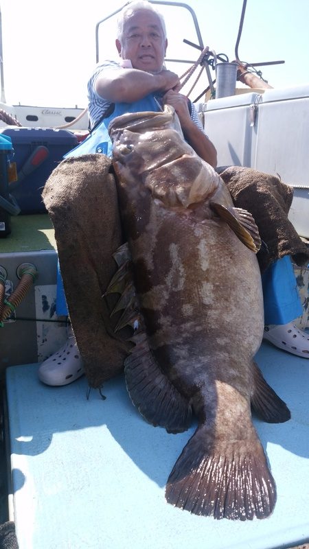 オーシャンパイオニア 釣果