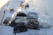 KIM Fishing Guide Service 釣果