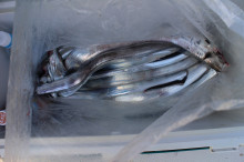 KIM Fishing Guide Service 釣果