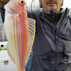 珀宝丸 釣果