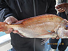 遊漁船 未紗奈 釣果