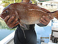 遊漁船 未紗奈 釣果