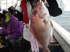 遊漁船 未紗奈 釣果