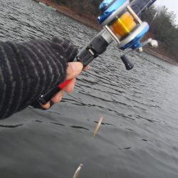 ワカサギ釣り　カンパリ投稿オススメ記事2017年12月まとめ！