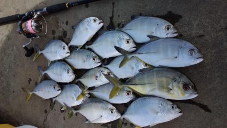 ショアジギング　和歌山のカンパリオススメ釣り情報！2017年12月