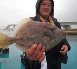 美咲丸 釣果