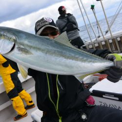 ジギング船 BLUEWATER 釣果