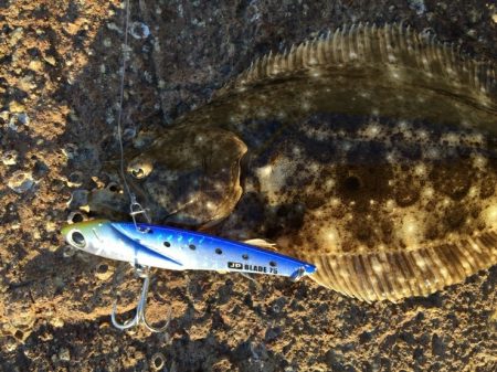 小さめのヒラメ