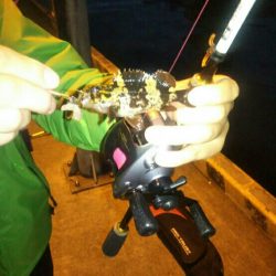 ポートアイランド北公園にて