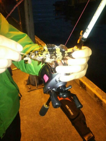 ポートアイランド北公園にて