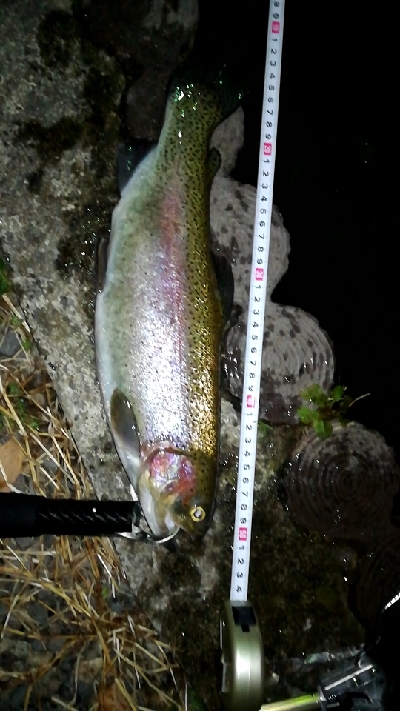 管理釣り場でトラウト！