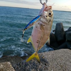 メッキことエバ釣り