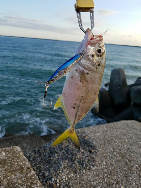 メッキことエバ釣り