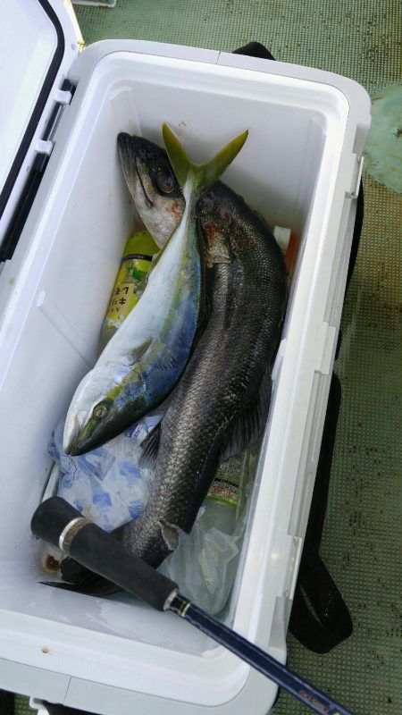 明石名田屋の飲ませ釣り