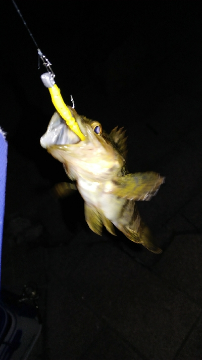 ライトゲームにて