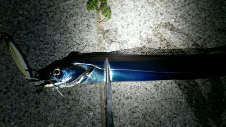 爆風と極寒でも釣れるタチウオ